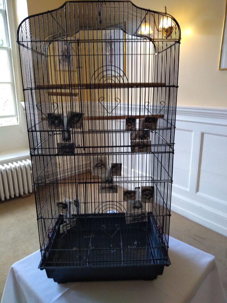 An antique bird cage with suspended images of parts of individuals features.